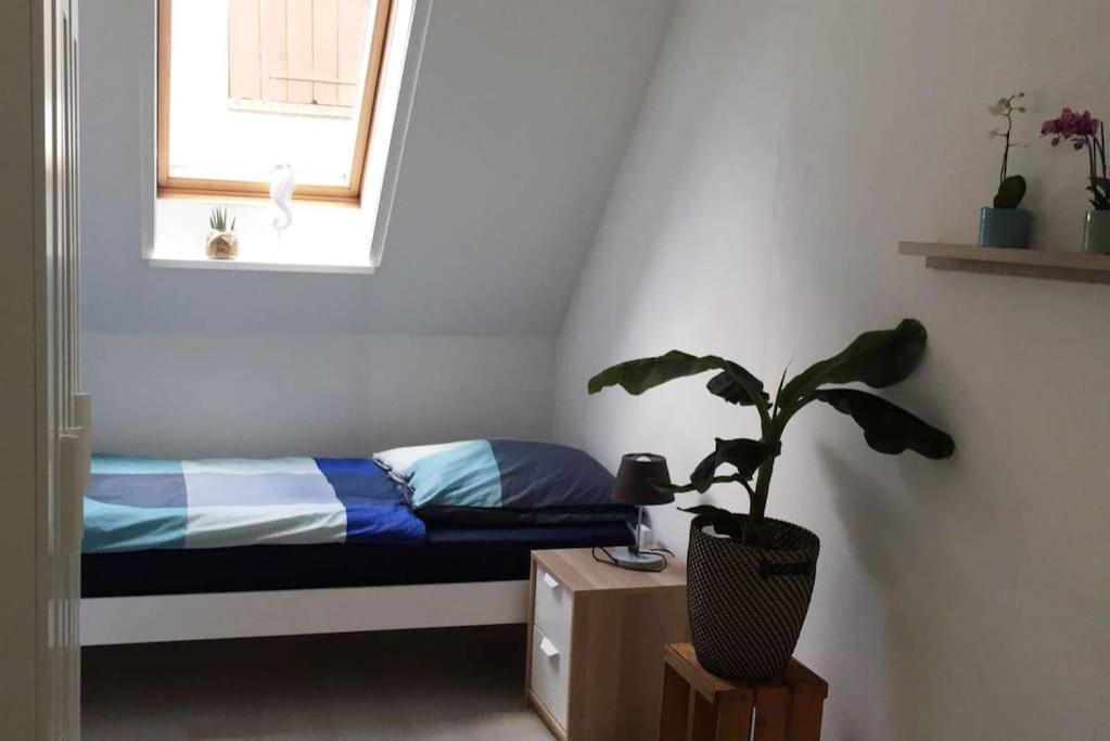 22B Grosse Wohnung Mit Balkon, Smarttv Und Wlan Korb Extérieur photo